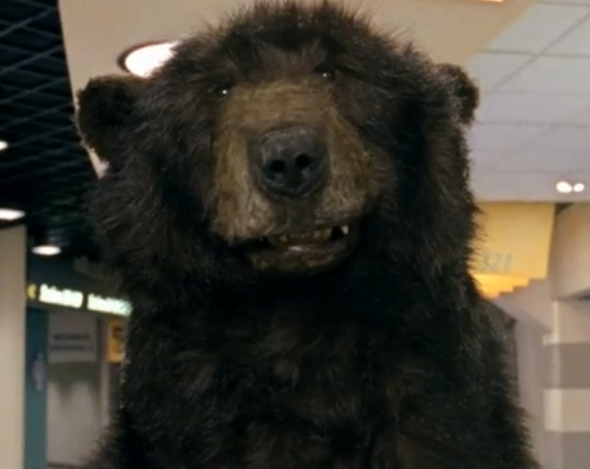 Boston Bruins - Date