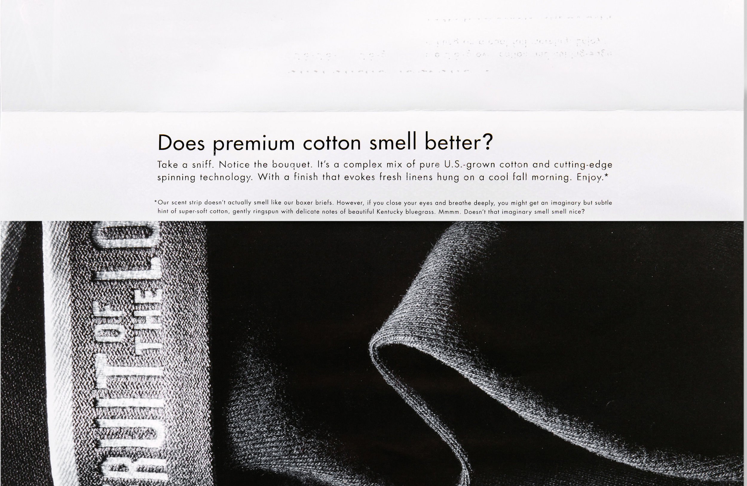 Target Sepect Scent Strip -- Scent Copy.jpg