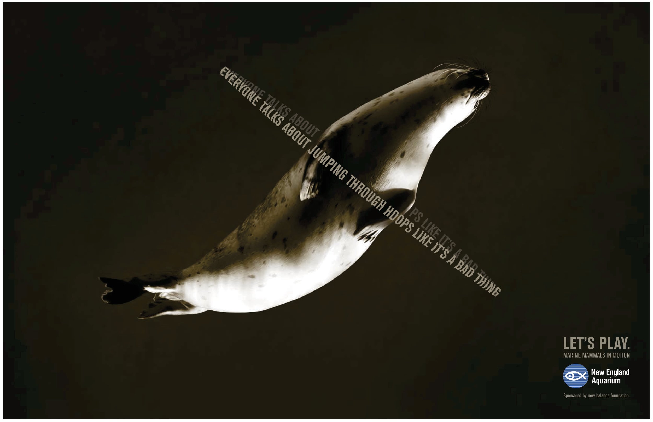    CLICK HERE TO ENLARGE   