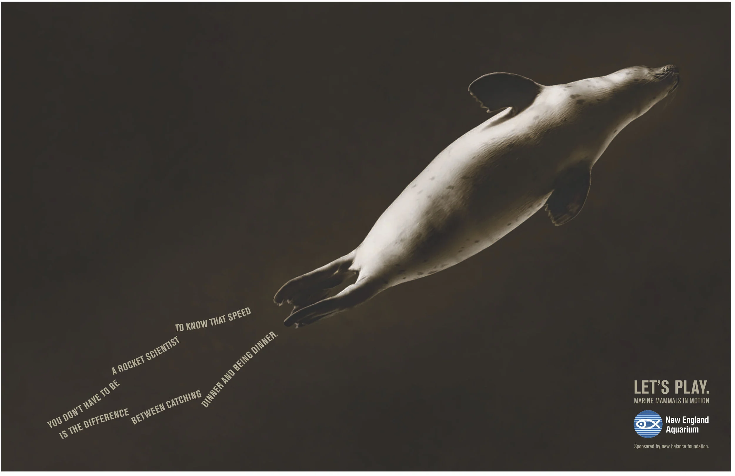    CLICK HERE TO ENLARGE   