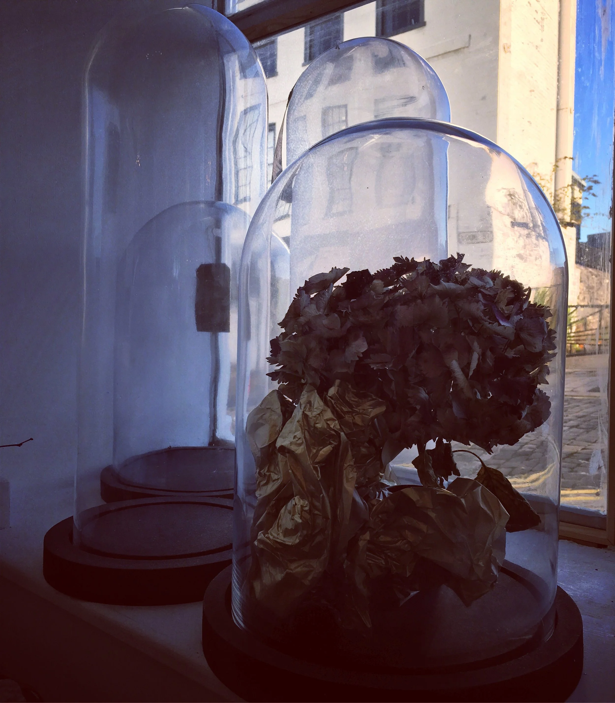 Selection of Vintage style glass domes