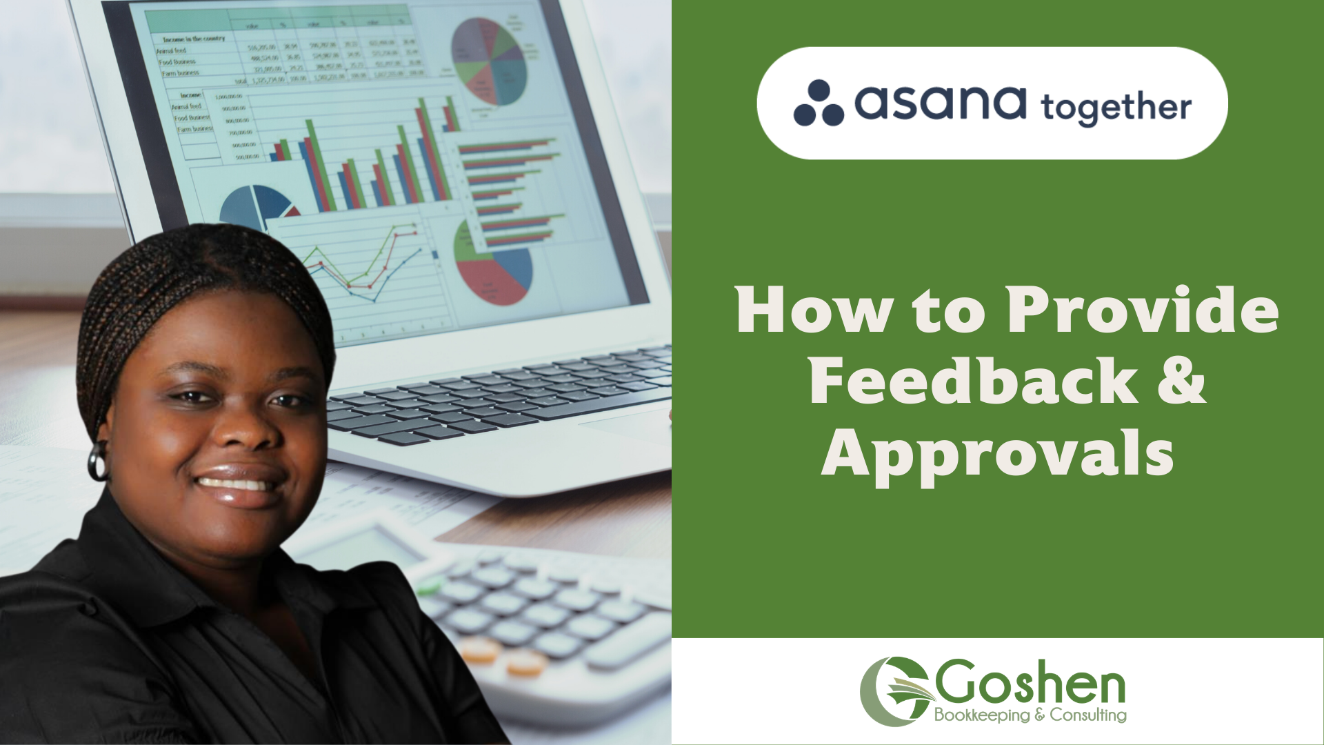 Asana Feedback and Approvals