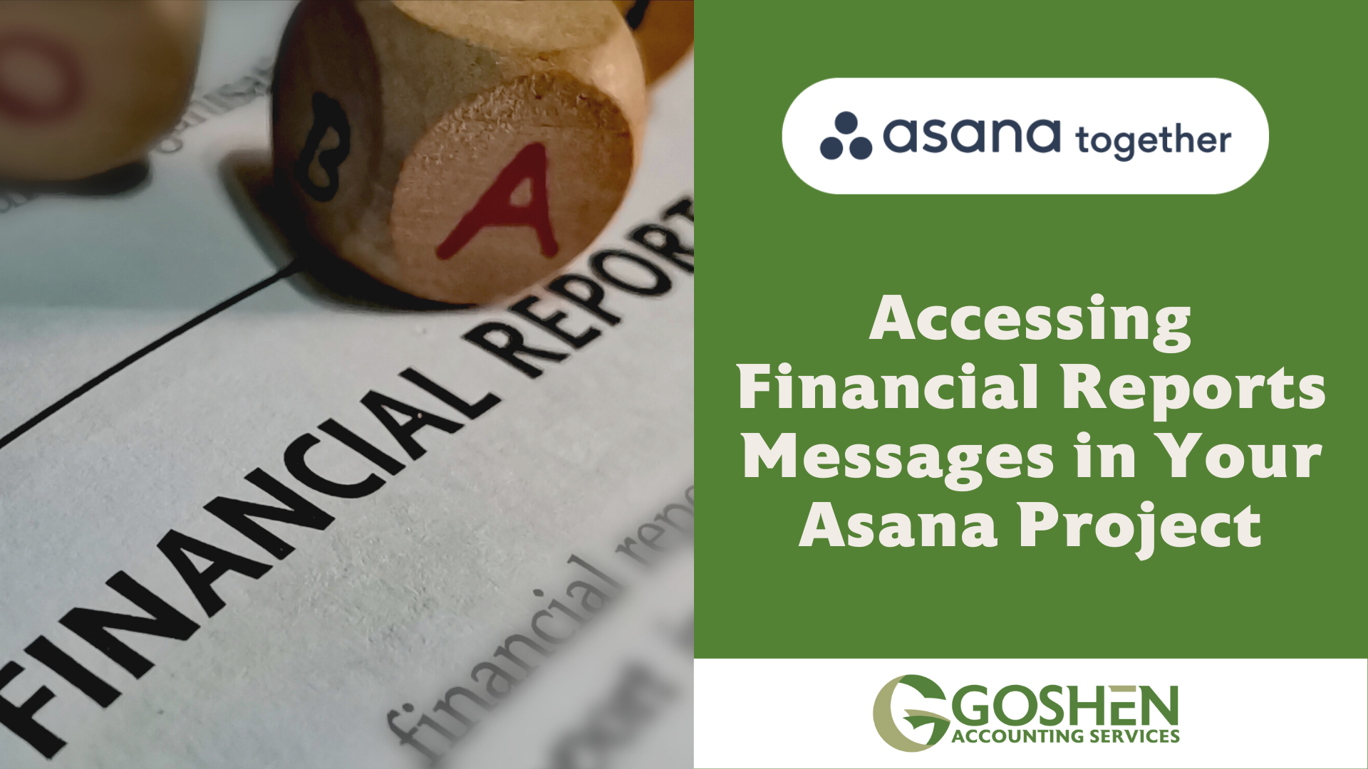 Access Financial Report Messages in your Asana Project