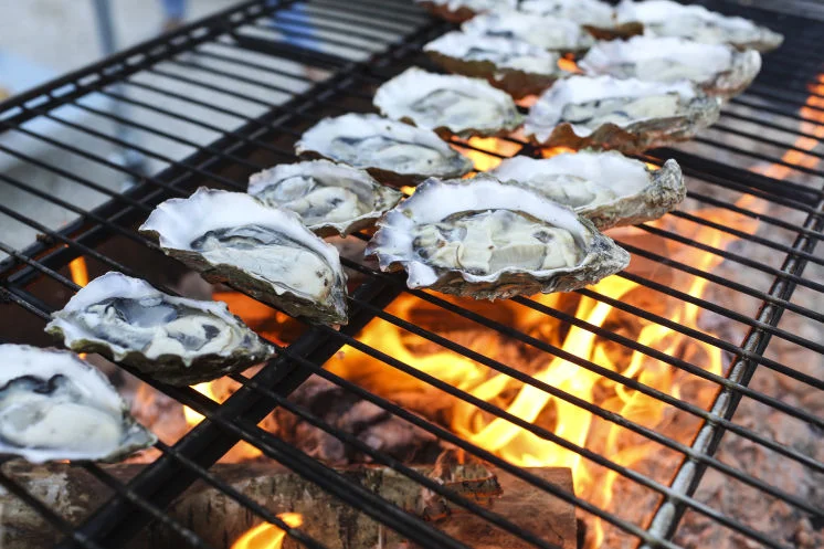 TAMPA BAY TIMES: "EMPIRE OYSTER RAISES THE RAW BAR IN ST. PETERSBURG"