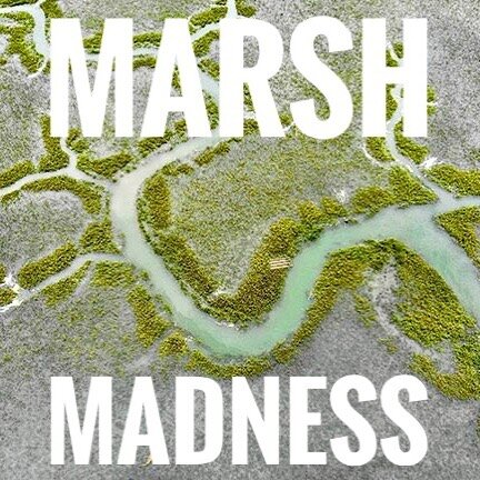 #marshmadness continues and expands with cooking classes added to the mix in Charleston, Miami &amp; Palm Beach. Opportunities to learn, enjoy, explore and connect will continue through May 3rd. Highlights from past events posted to the web page and 
