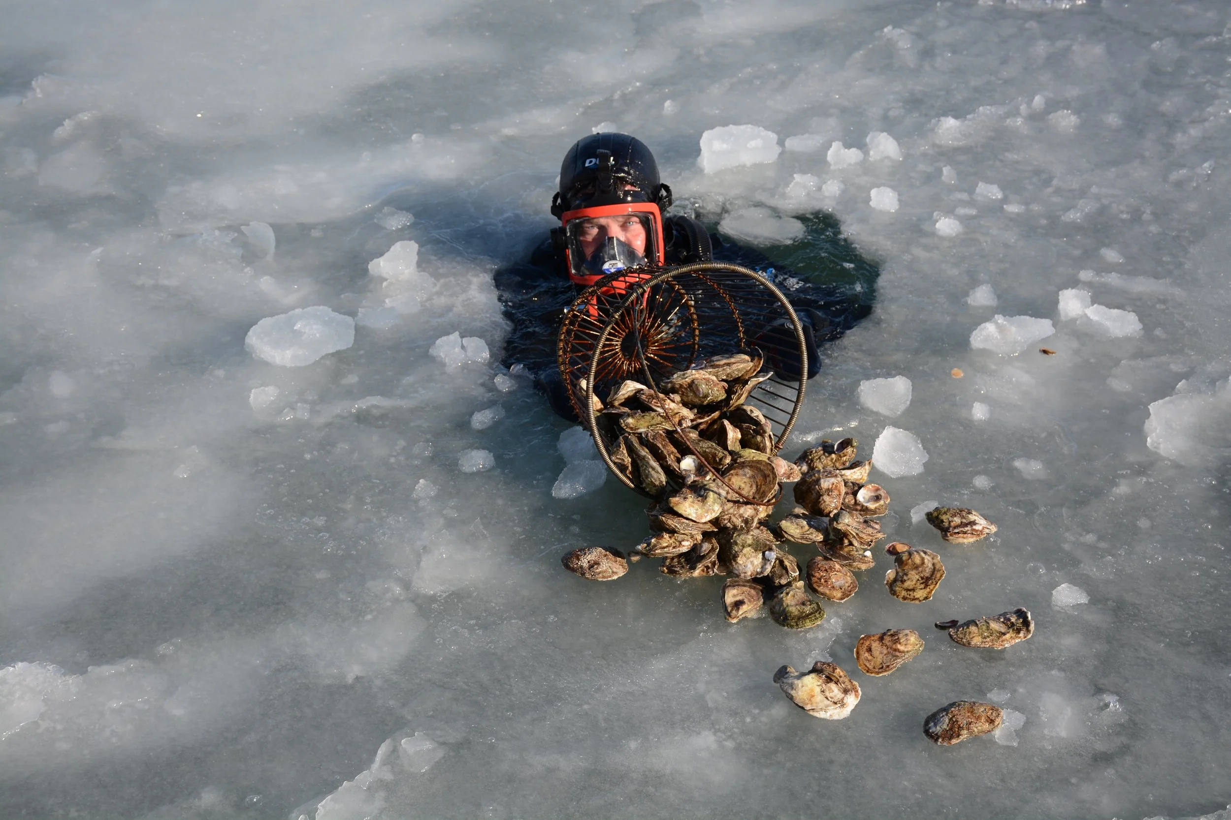 OYSTER FLIGHT - RAW LAB PILLAR #1