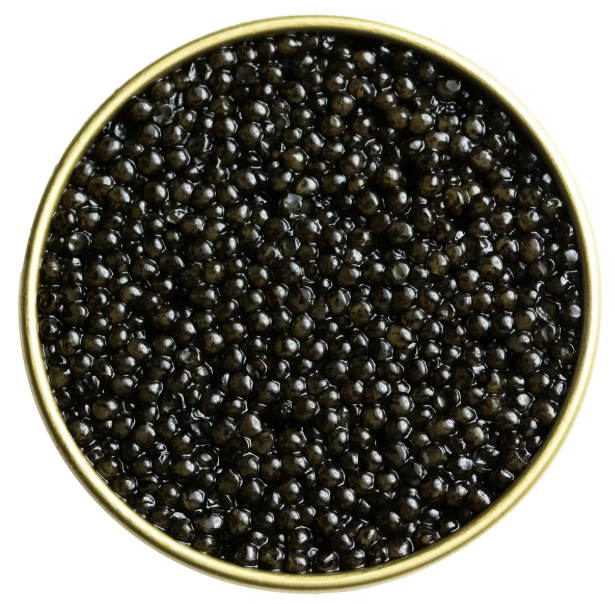 Screenshot 2026-02-16 at 8.55.29 PM.png