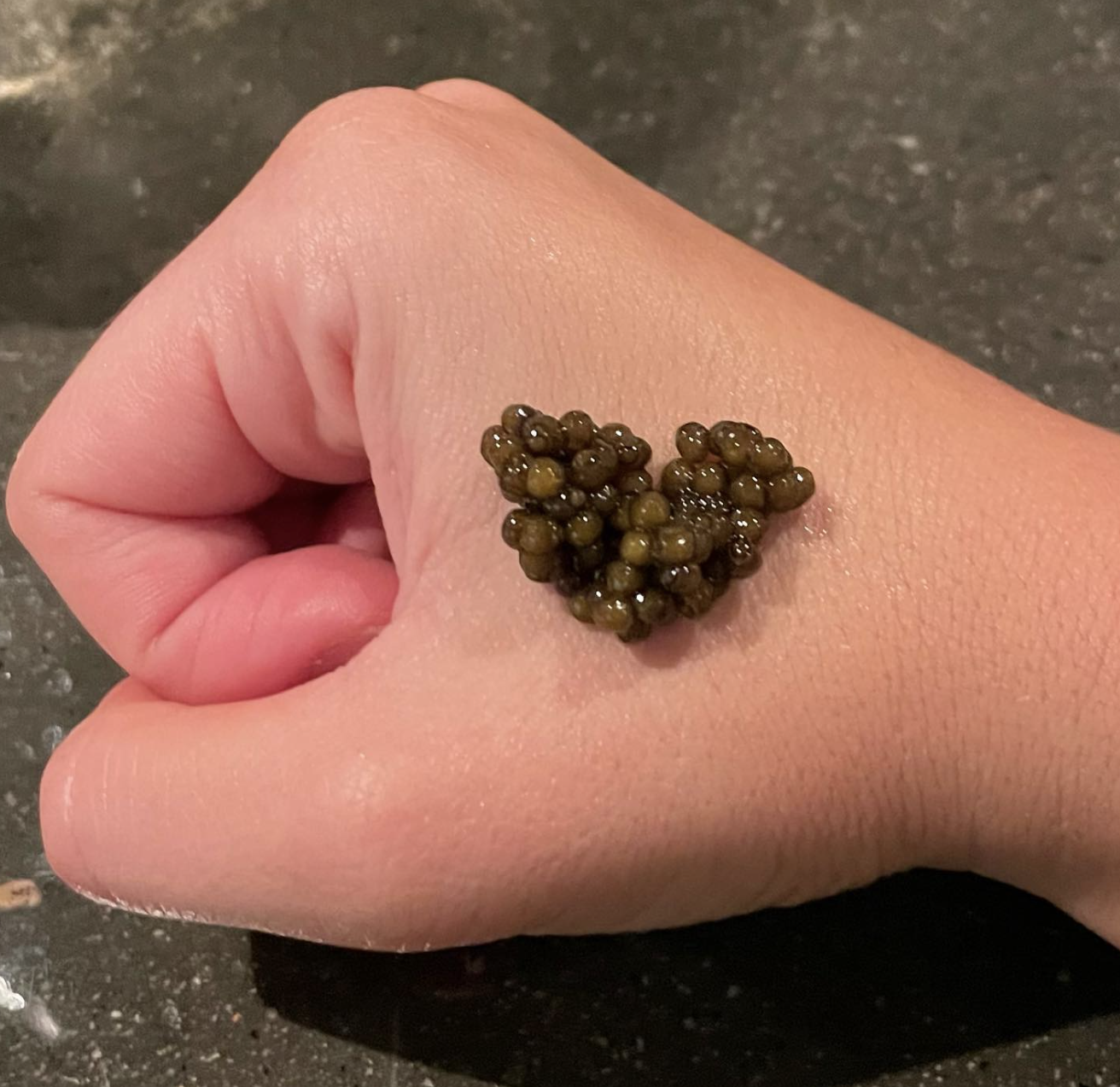 EPICureanism @ PENSACOLA