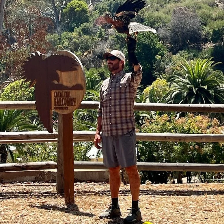 Lifelong goal met. Falconry! Harris Hawk here. So cool.