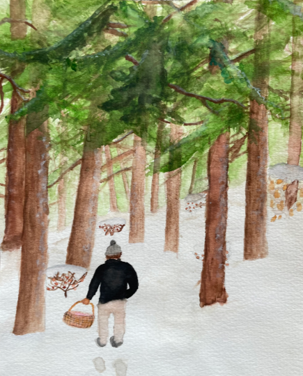 Person walking through snowy woods with wicker basket collecting fallen pinecones.