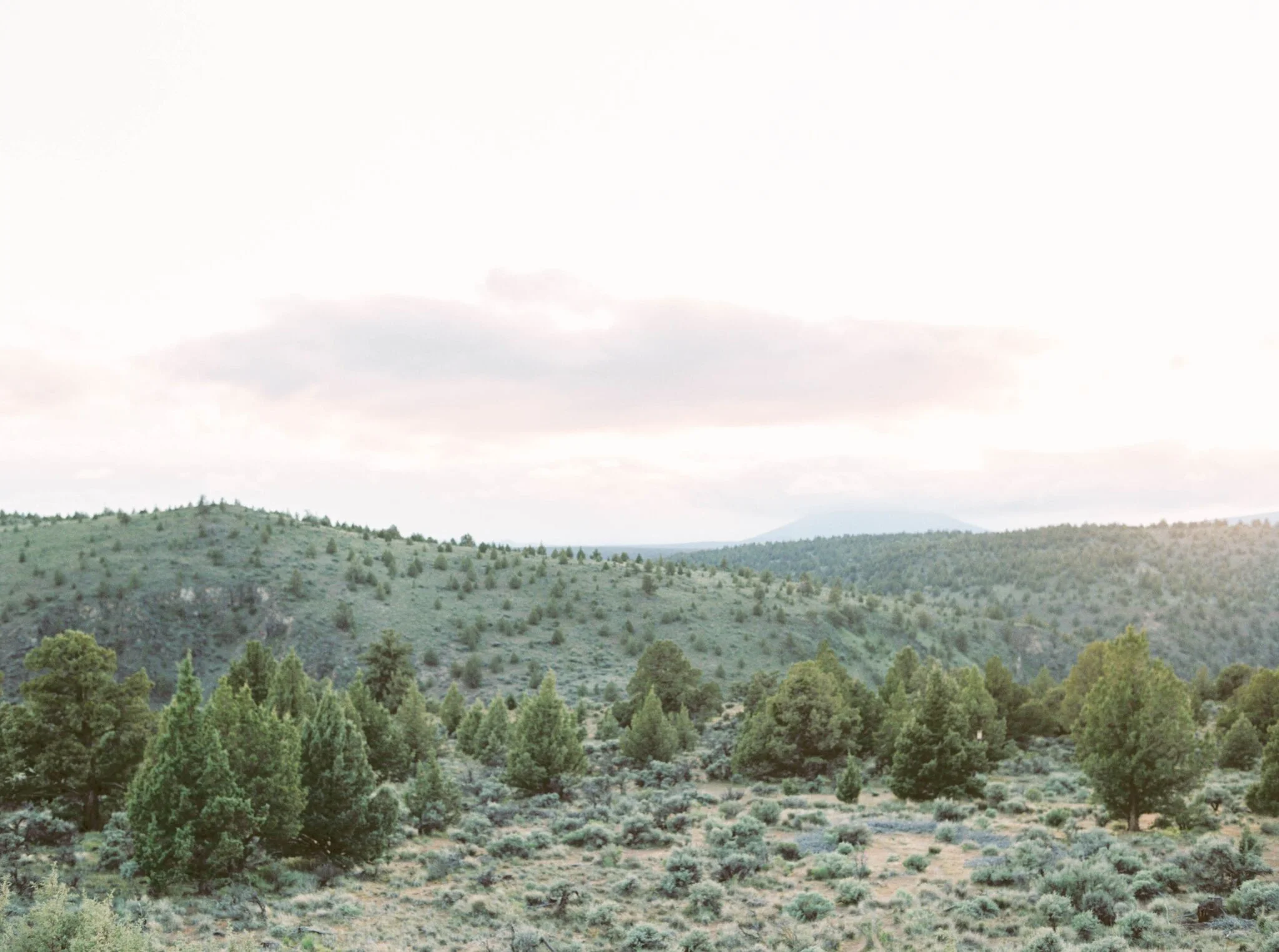 bendelopement_marialambphotography_bendwedding335_preview.jpg
