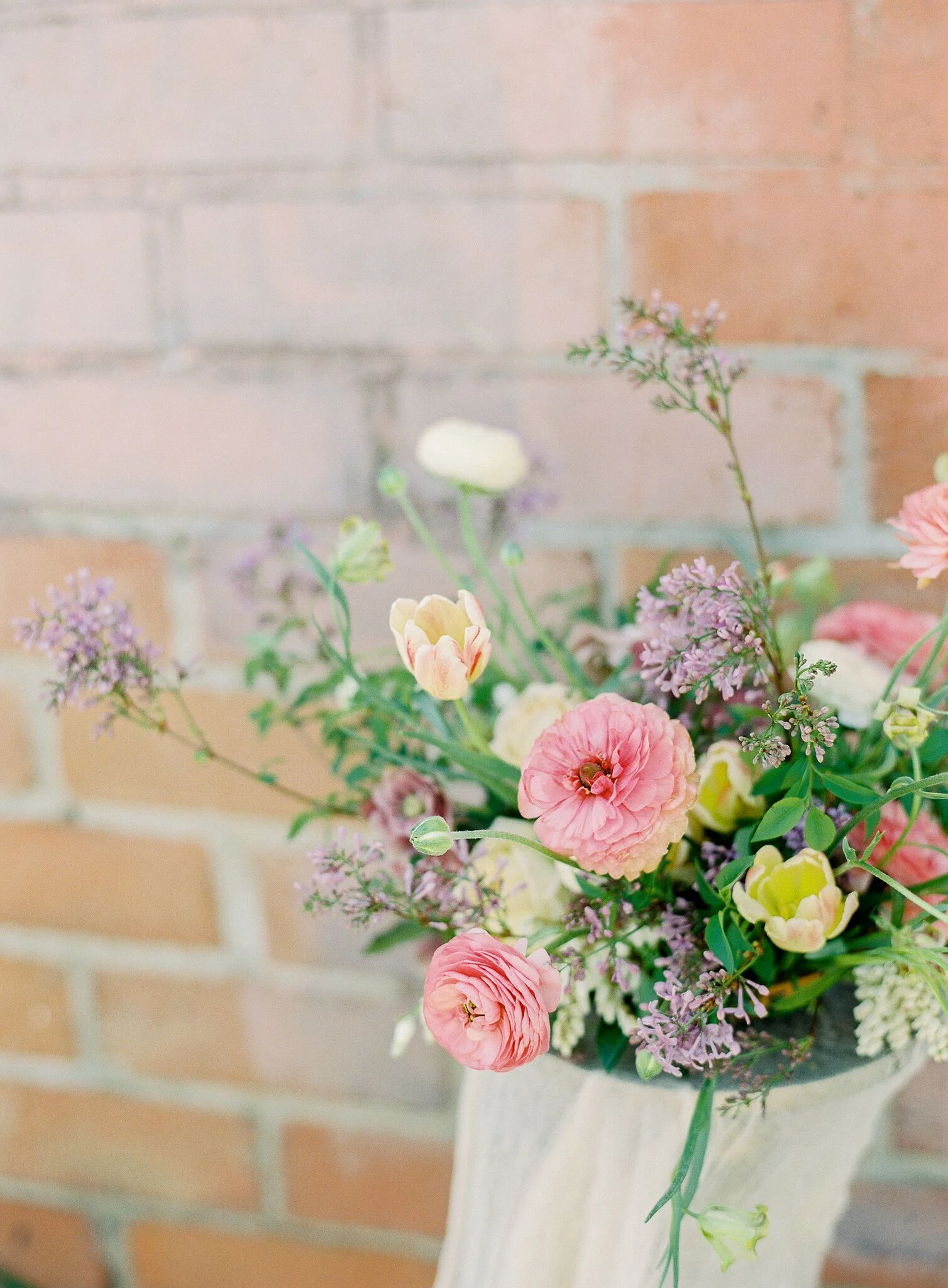 Rachael+Lunghi+Favorites-0049_preview.jpg