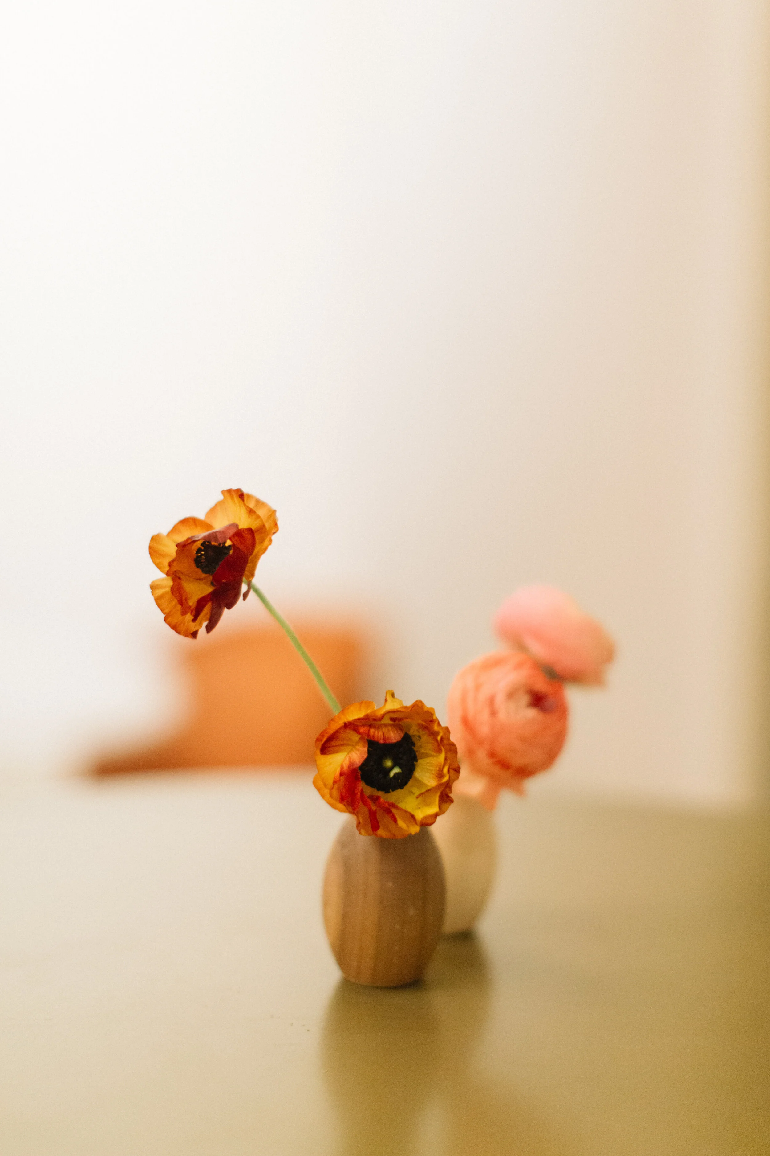 carmensantorelliphoto-340.jpg
