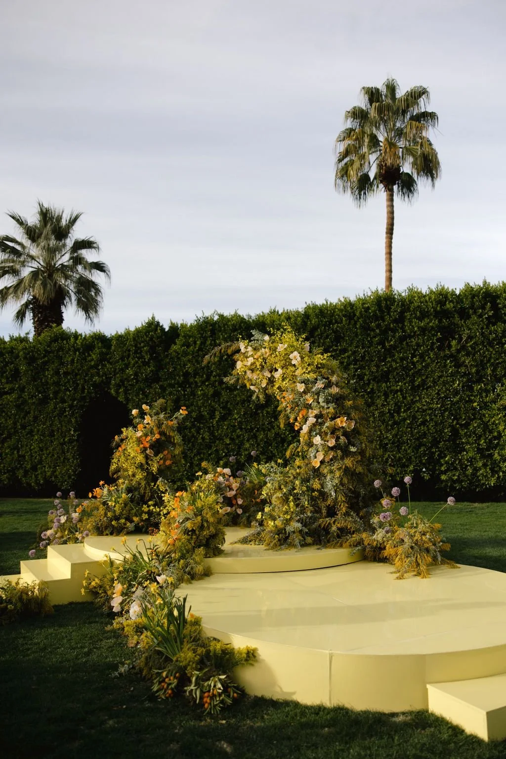 Rnn1YtDA.jpeg (Copy)