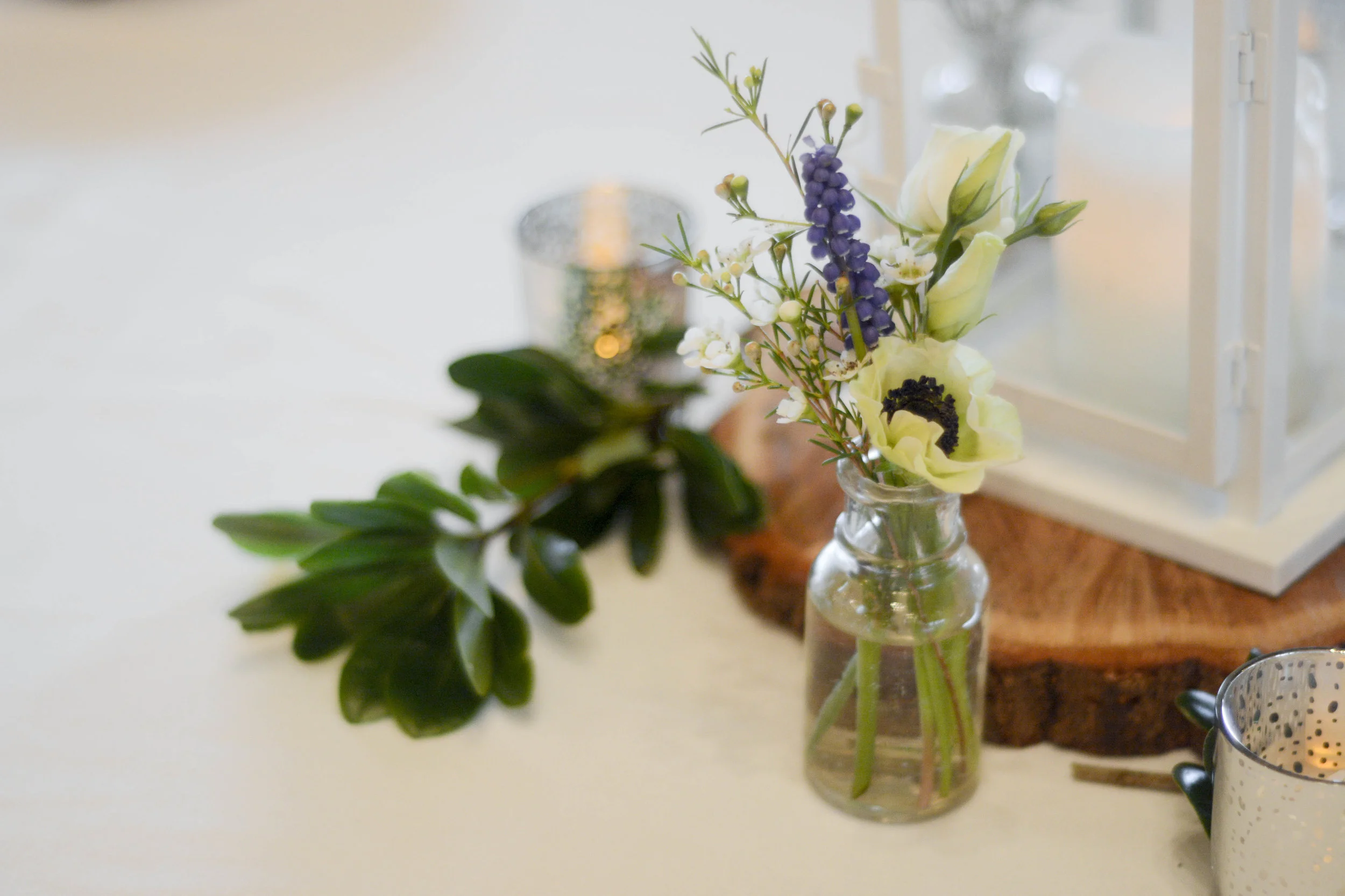 Ashville Wedding-16.jpg