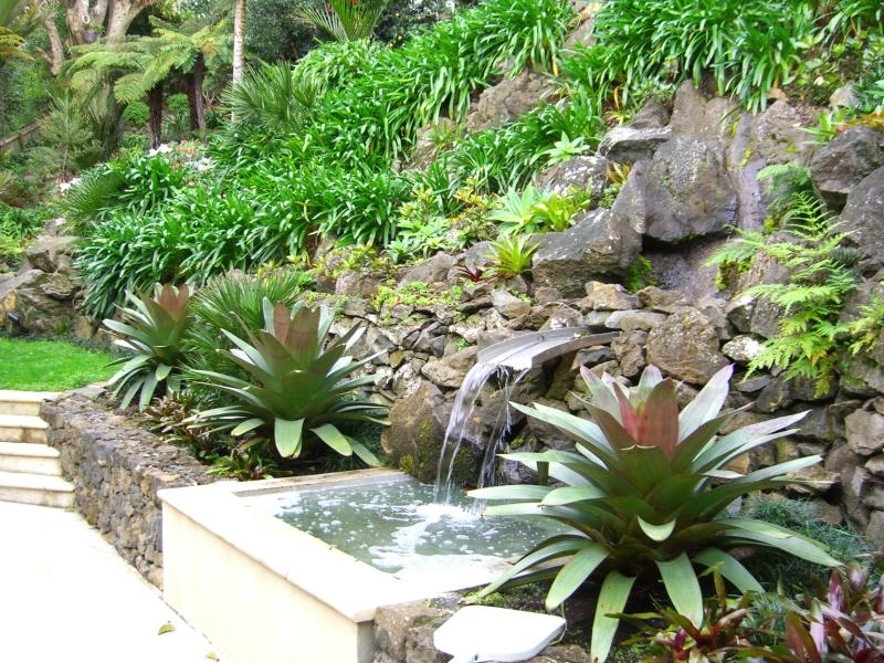 Water Feature and Garden.jpg