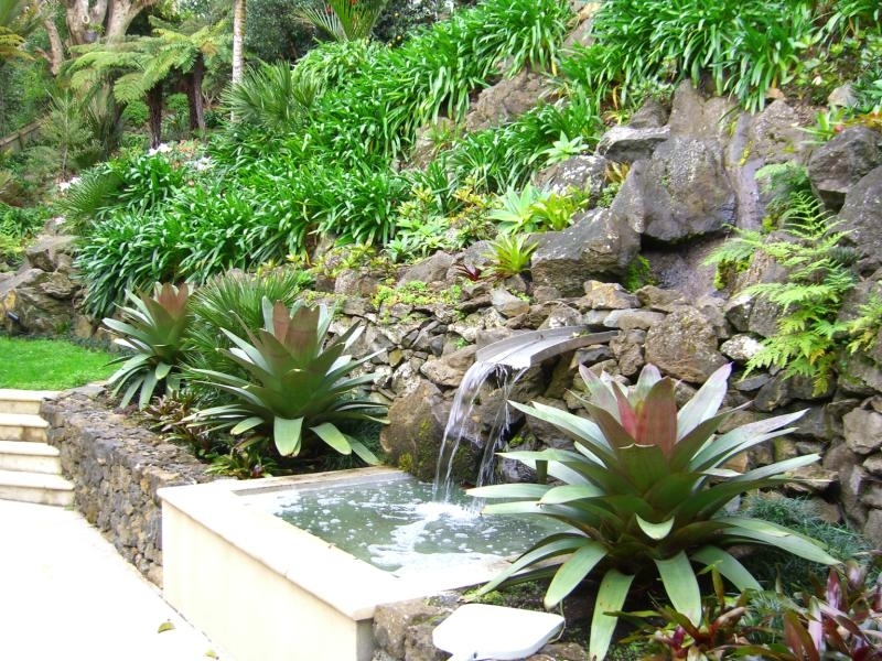 rock garden with water feature