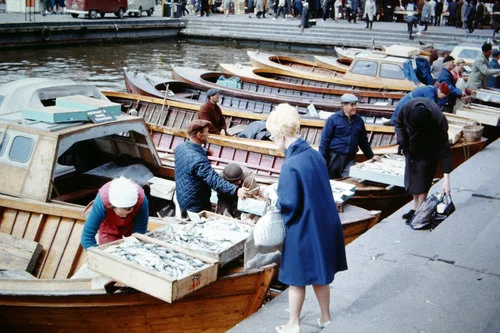 First Impressions of Helsinki. 1960.