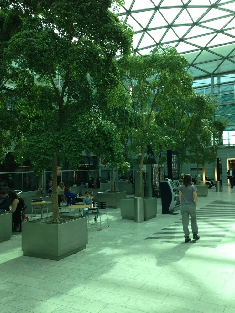 Midsummer’s on Sweden’s west coast.