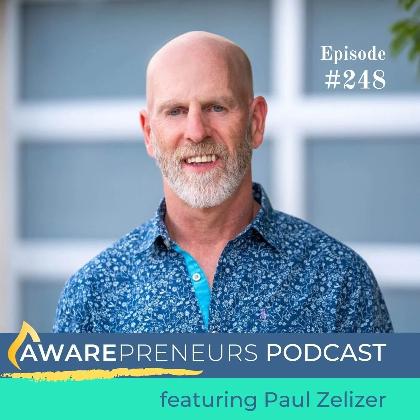 248 | 3 Tips for Corporates Transitioning to Impact Careers with Paul Zelizer
