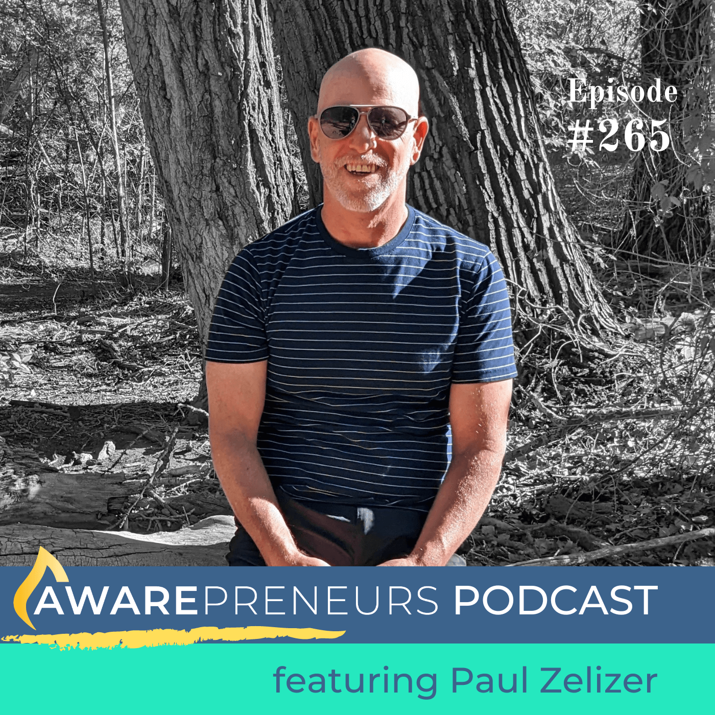 265 | When to Move Fast vs Slow as a Social Entrepreneur with Paul Zelizer
