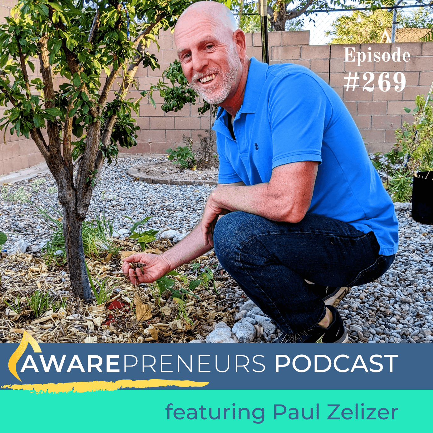 269 | 3 Tips for Marketing Your Book in 2023 with Paul Zelizer