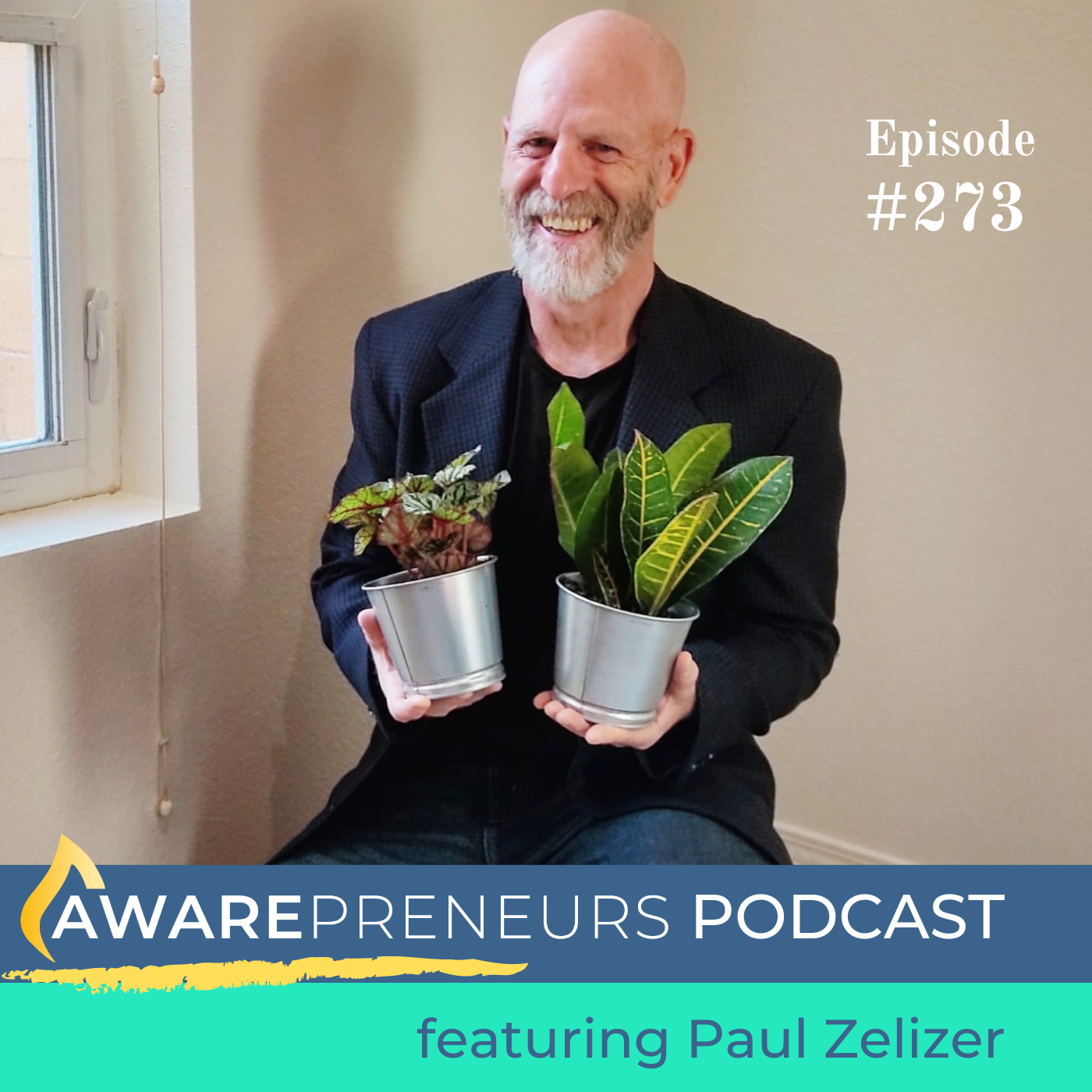 273 | "When Should I Do a Training or Degree Program?" with Paul Zelizer