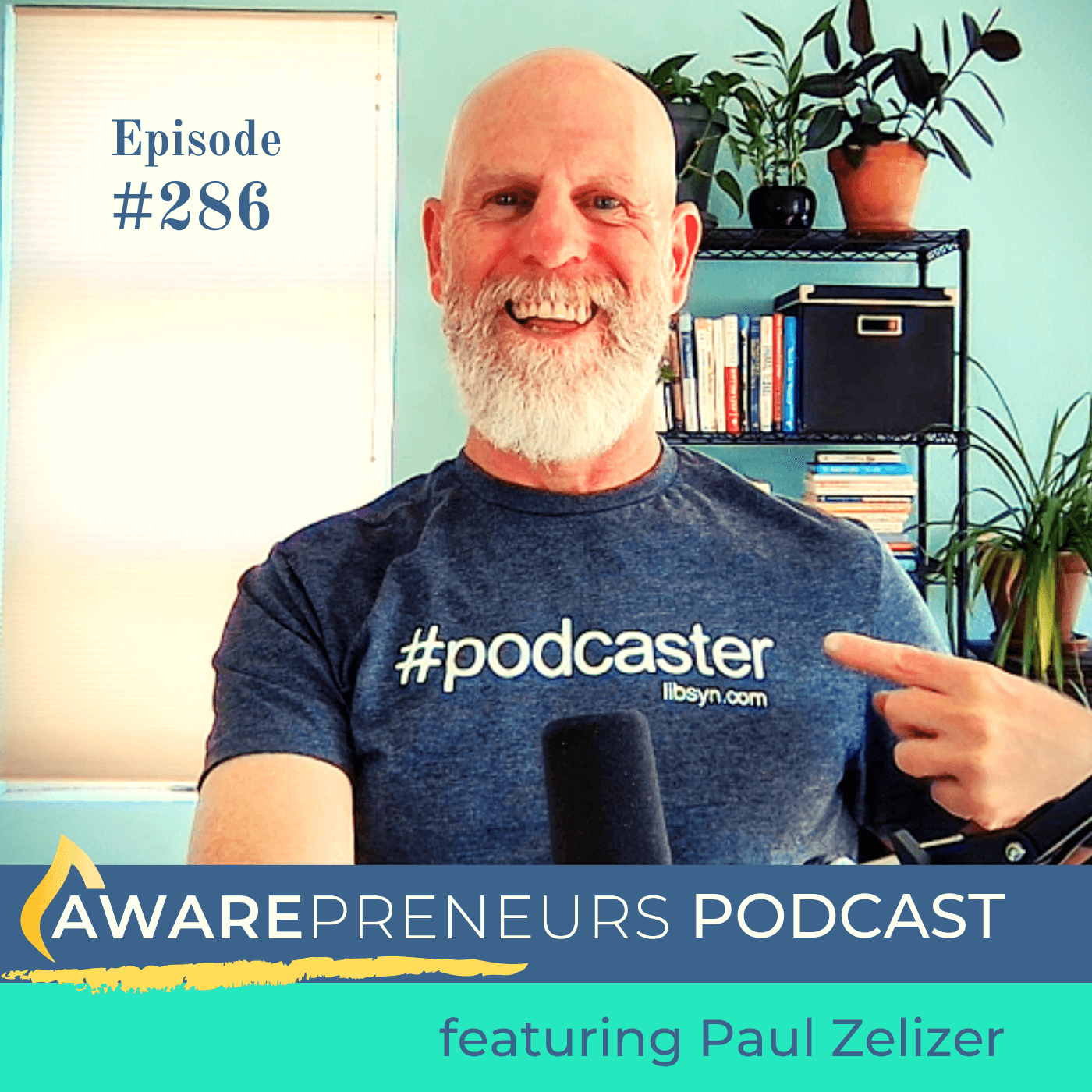 286 | Wellbeing Tips for Founders Raising Capital with Paul Zelizer