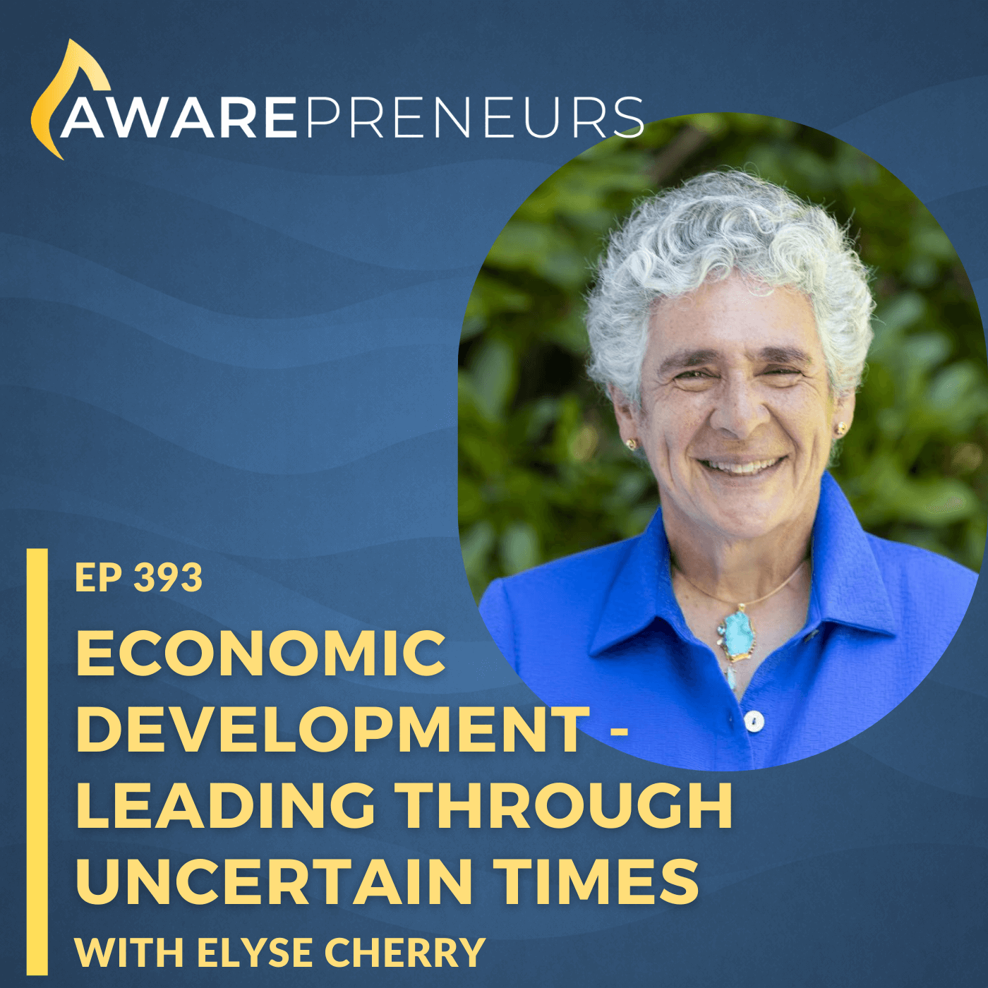 393 | Economic Development - Leading Through Uncertain Times with Elyse Cherry