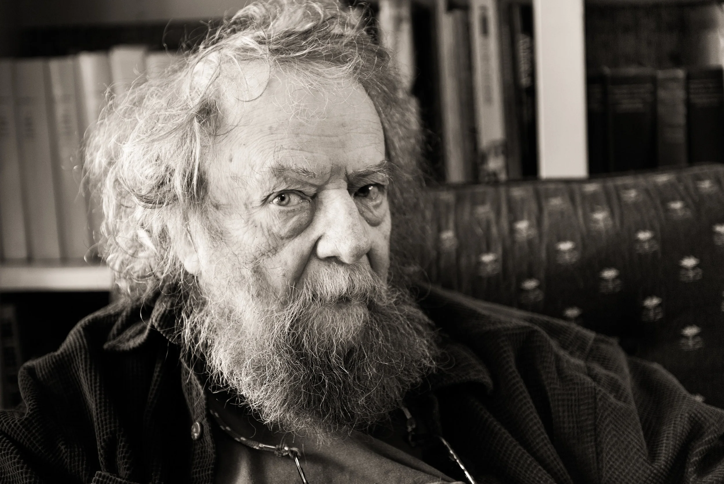 Donald Hall, Poet
