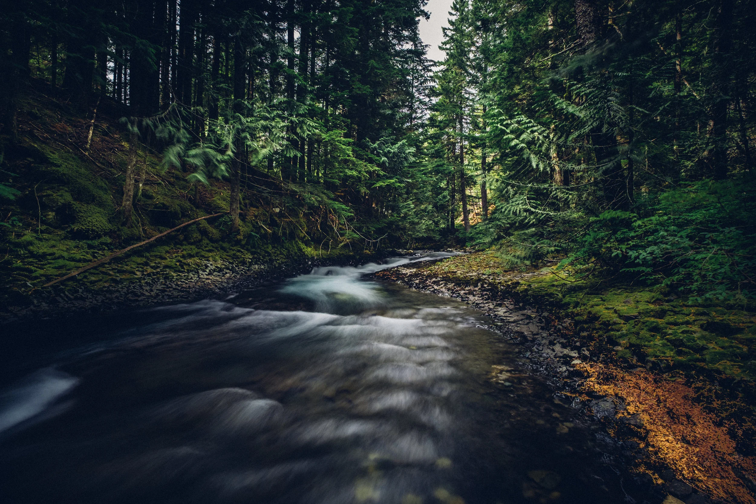A river runs through it (1 of 1).jpg