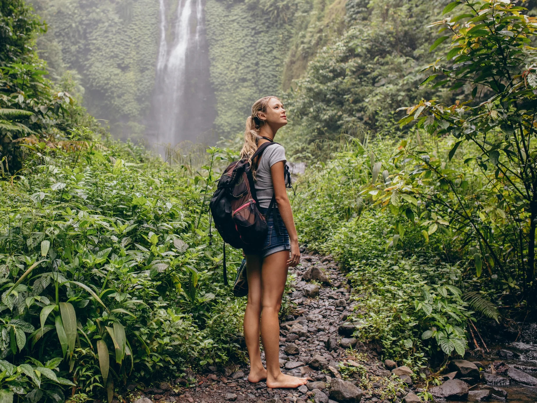 Are You In The Jungle?