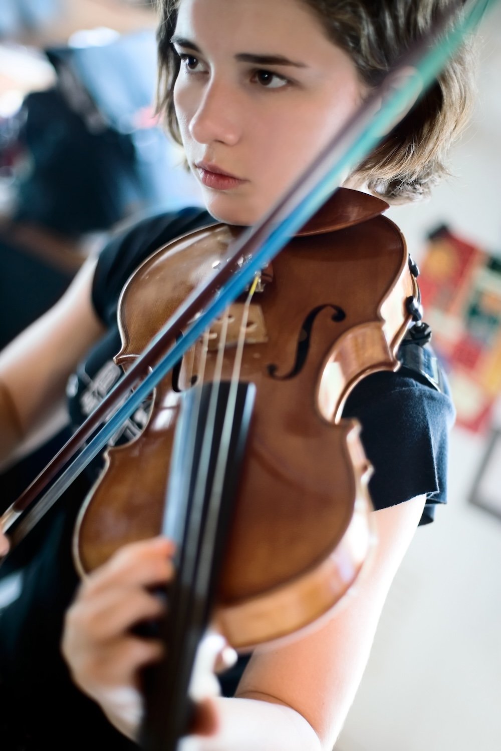 Student violin available through school band and orchestra rentals