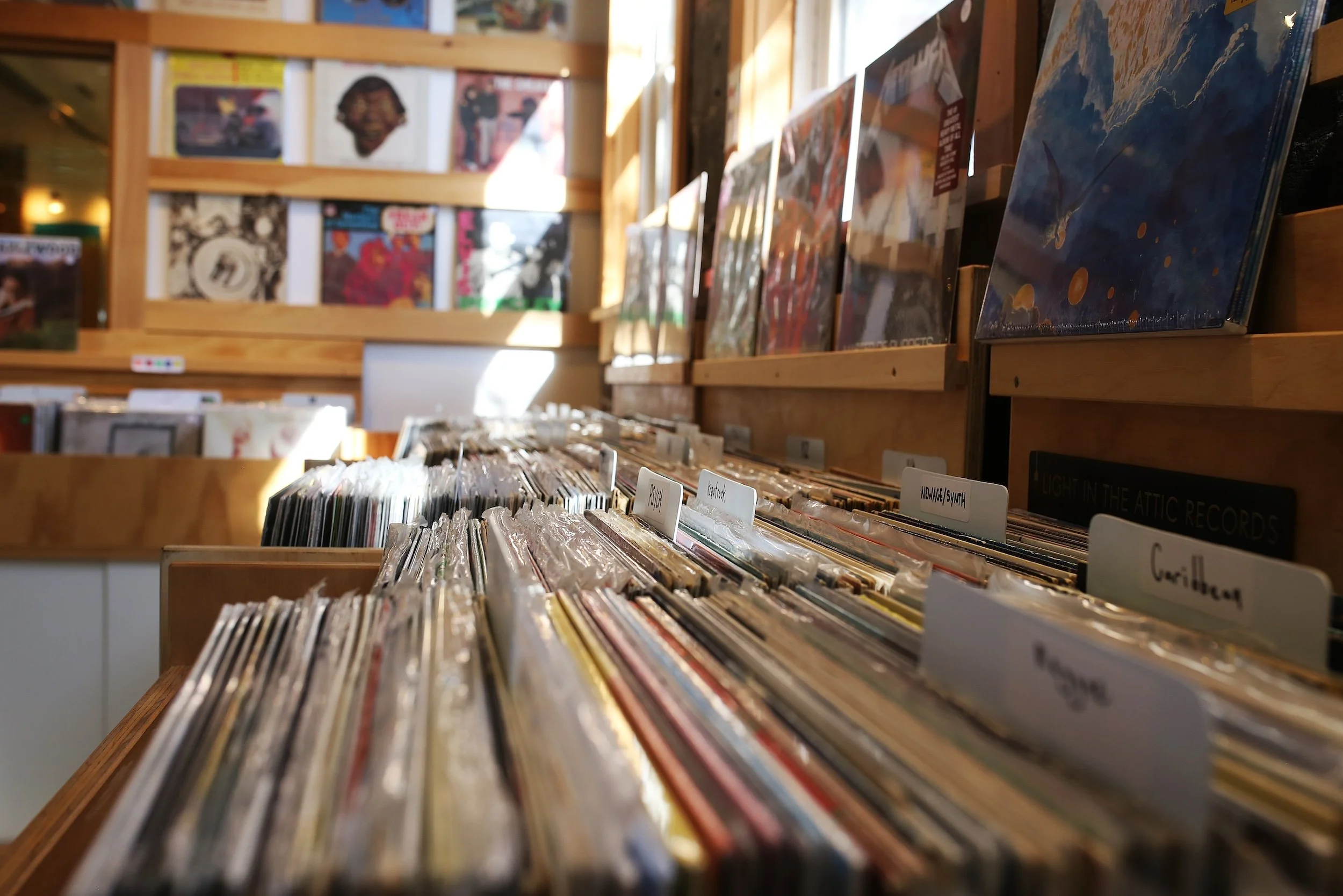 Vinyl record bins inside Collingswood Music record store
