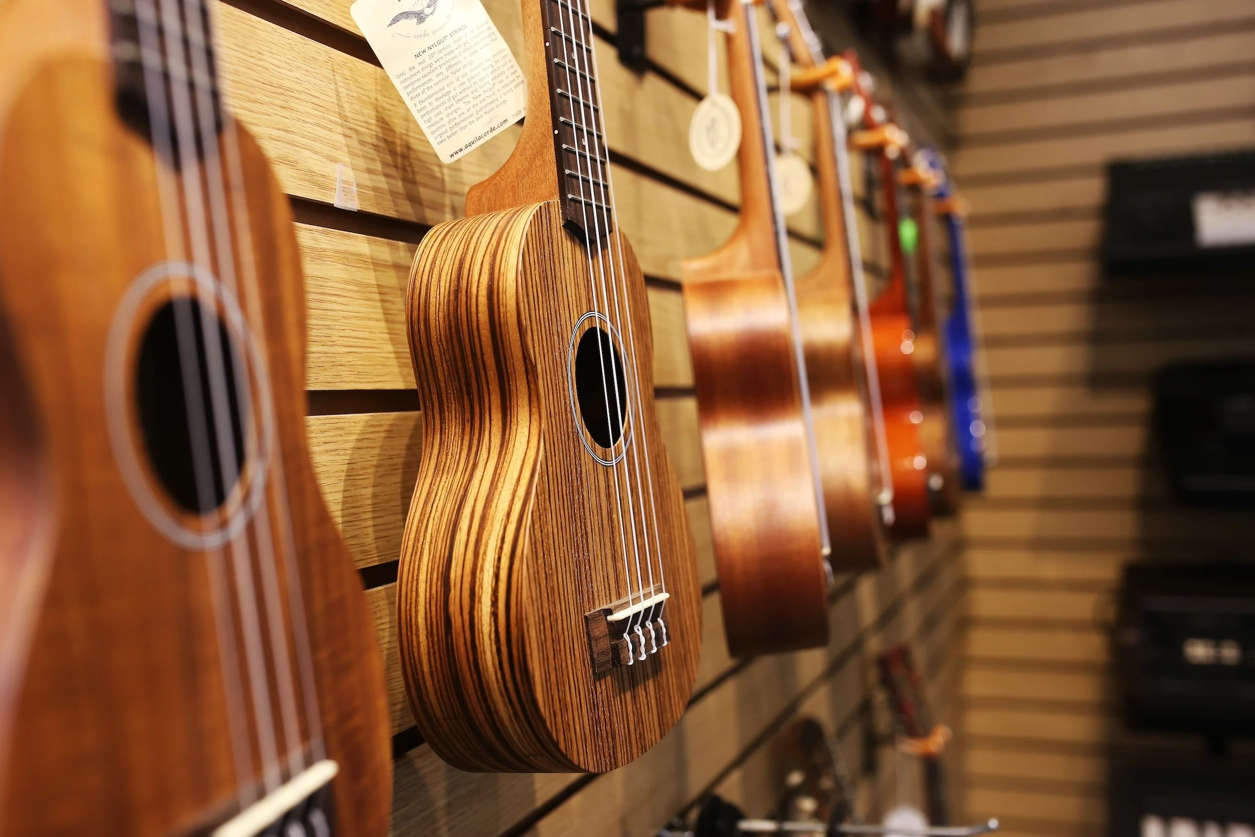 Ukuleles hanging in the Collingswood Music showroom