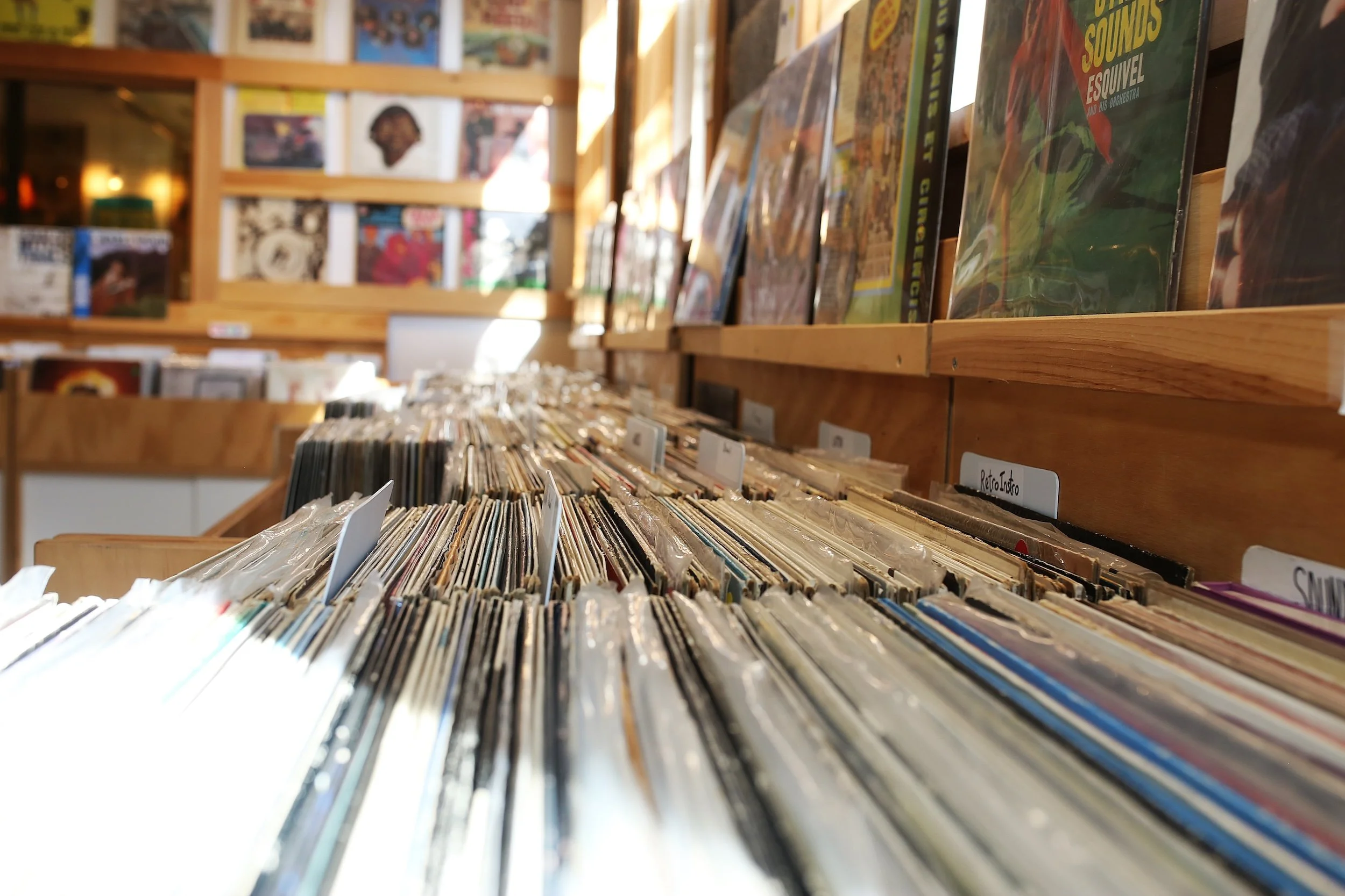 Vinyl record bins inside the Collingswood Music showroom