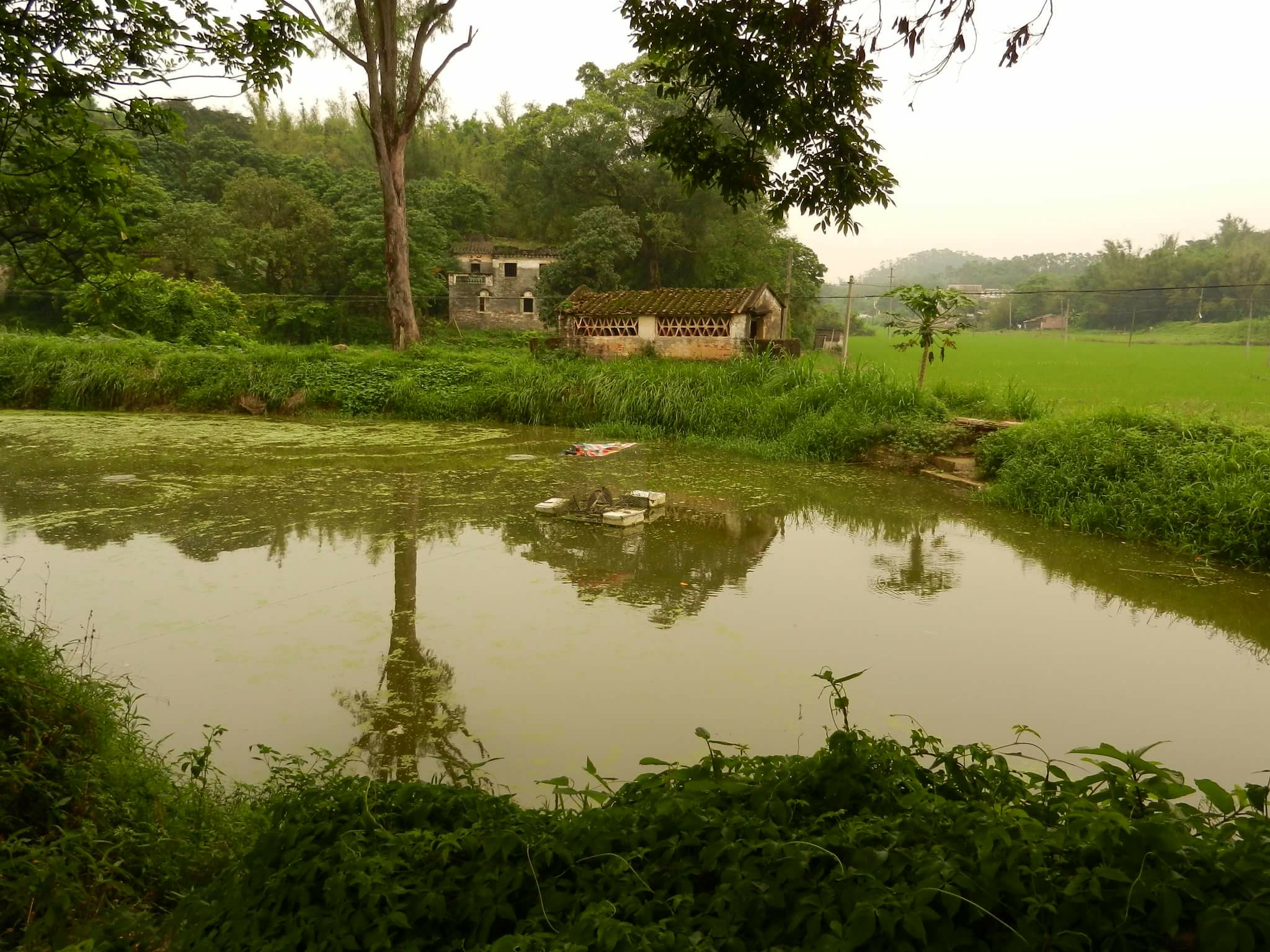 &nbsp; Normal
&nbsp; 0
&nbsp; 
&nbsp; 
&nbsp; 
&nbsp; 
&nbsp; false
&nbsp; false
&nbsp; false
&nbsp; 
&nbsp; EN-US
&nbsp; X-NONE
&nbsp; X-NONE
&nbsp; 
&nbsp;&nbsp; 
&nbsp;&nbsp; 
&nbsp;&nbsp; 
&nbsp;&nbsp; 
&nbsp;&nbsp; 
&nbsp;&nbsp; 
&nbsp;&nbsp…