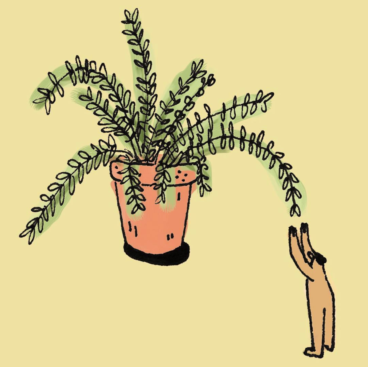 Screen Shot 2019-07-29 at 11.23.20 AM.png