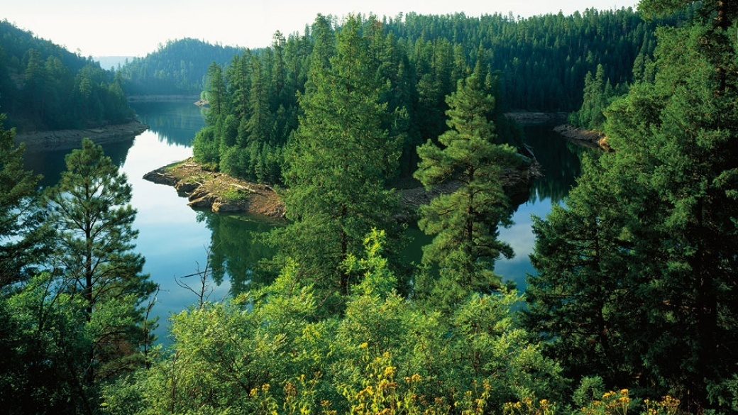 Blue Ridge Reservoir on the Arizona Trail