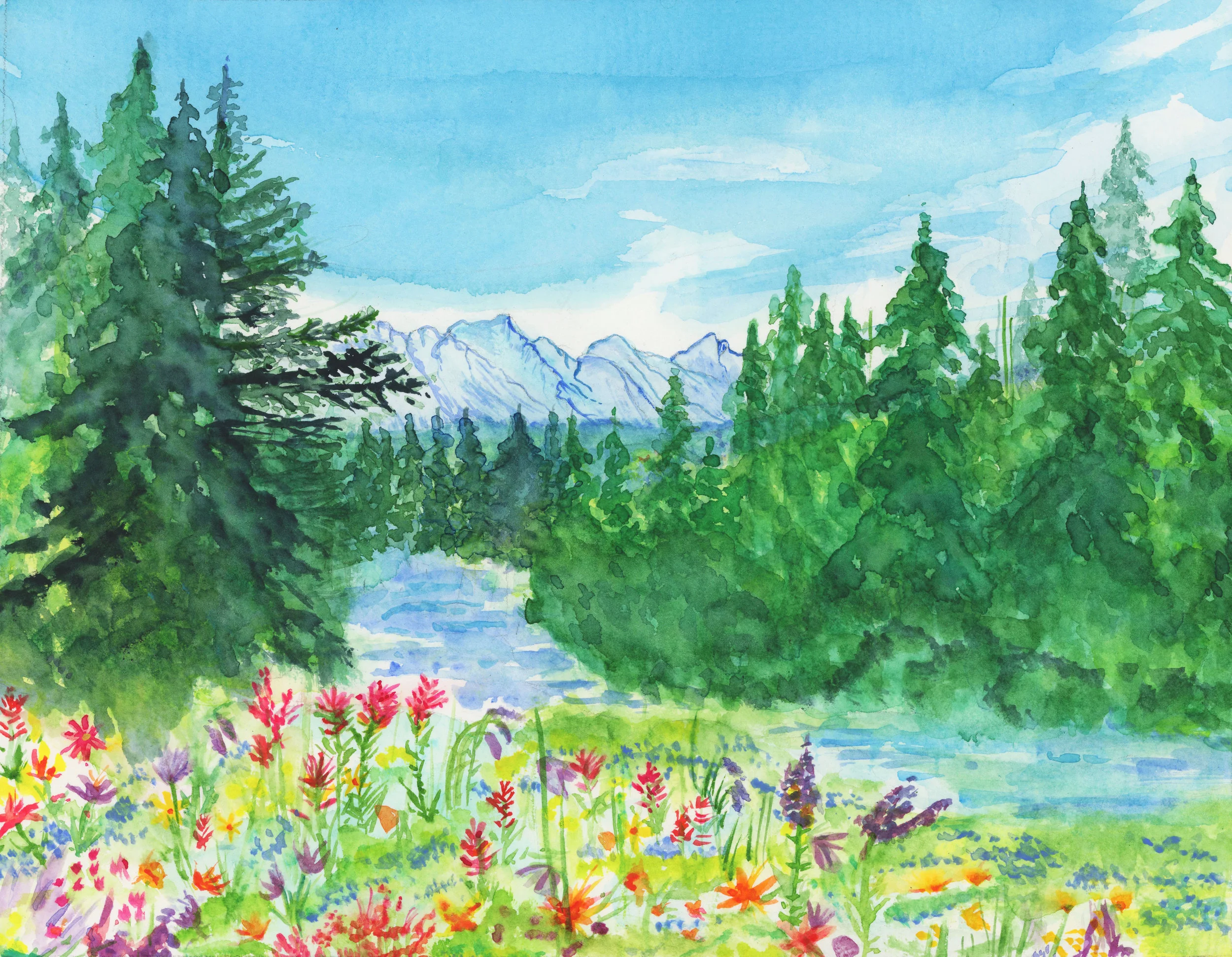 Indian Paintbrush With High Contrast.jpg