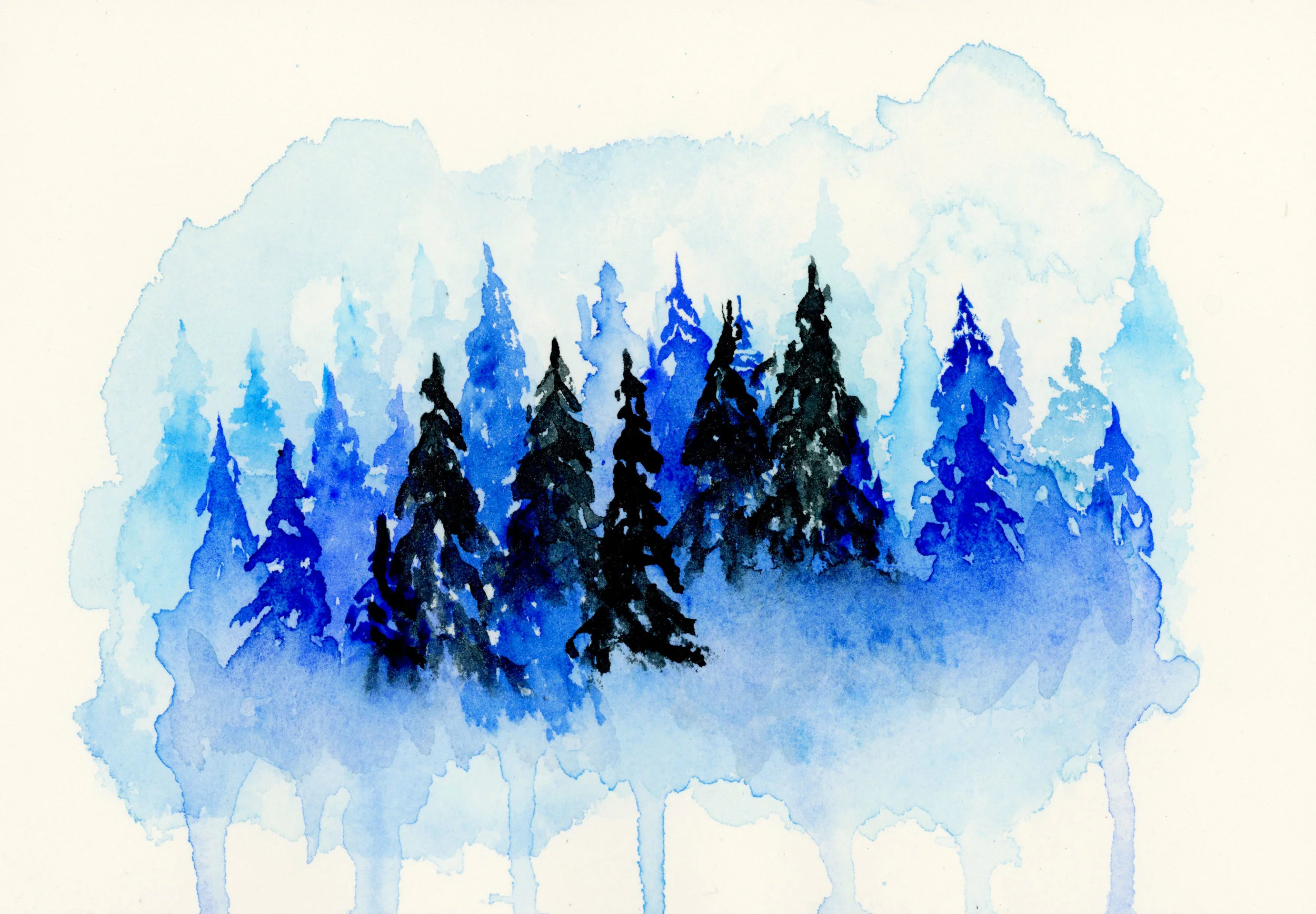 Blue Pines.jpg
