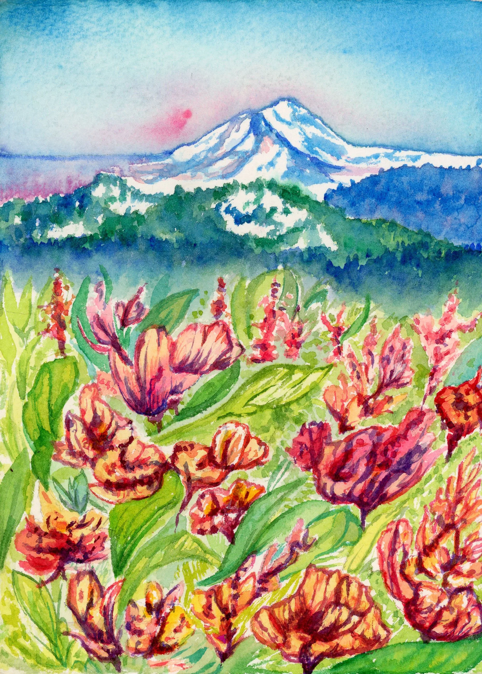 MountHoodFlowers.jpg