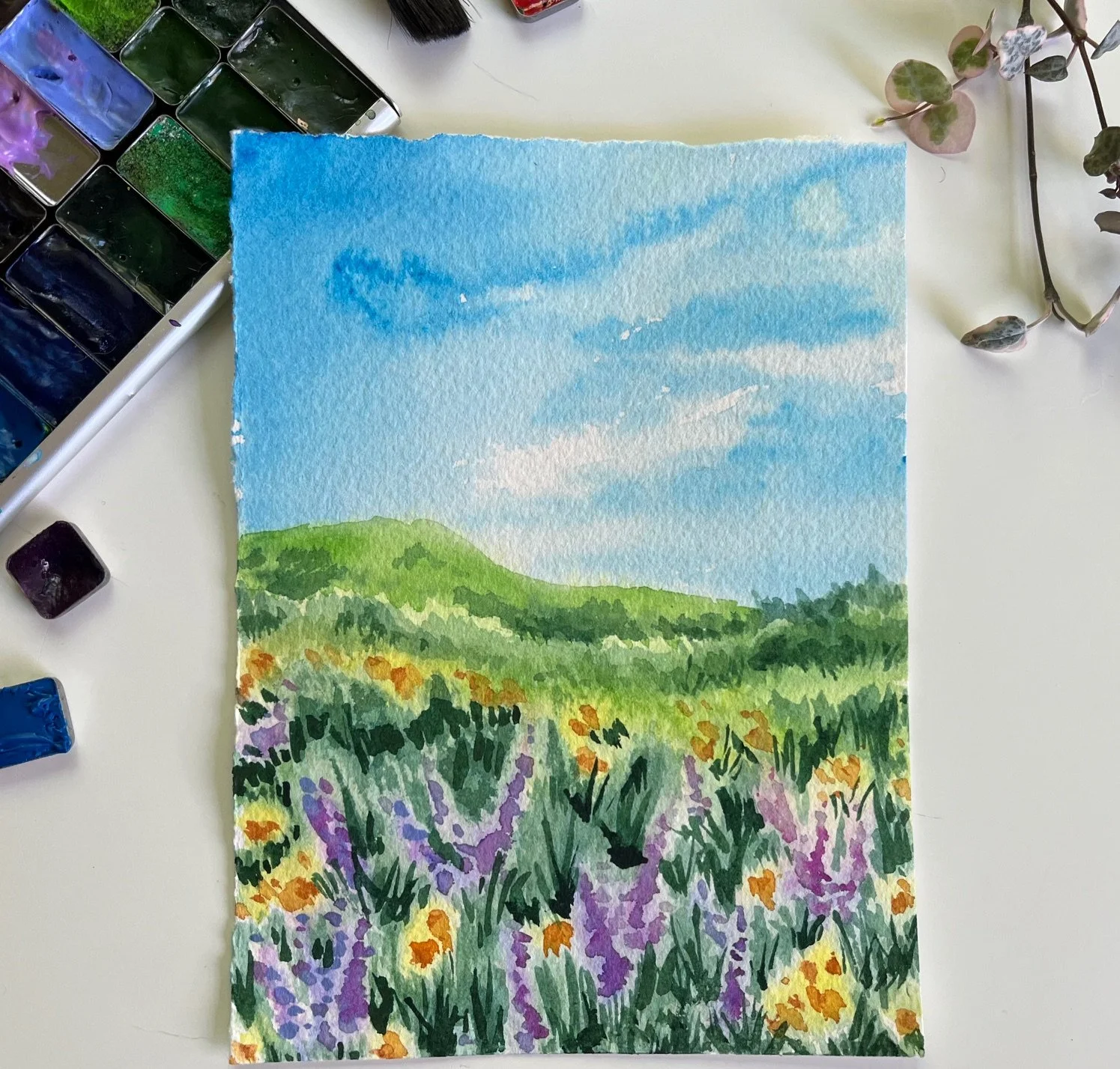 Wildflower Watercolor Workshop