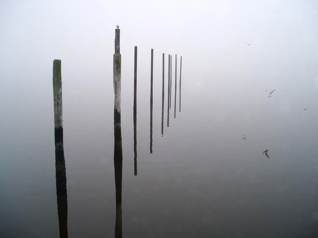 fog.jpg