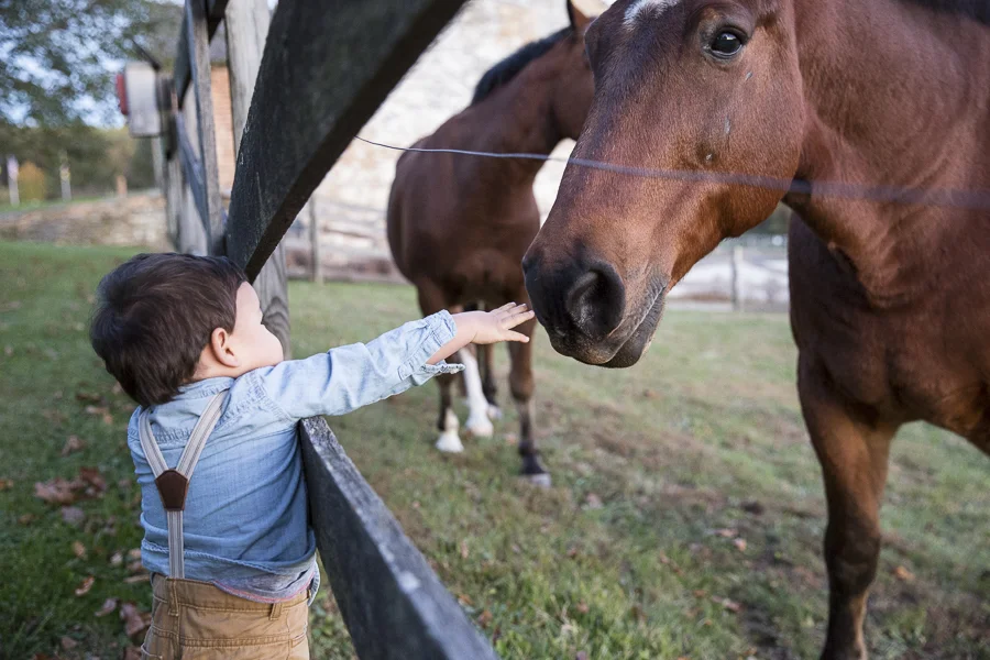 Olivia and Patrick014.JPG