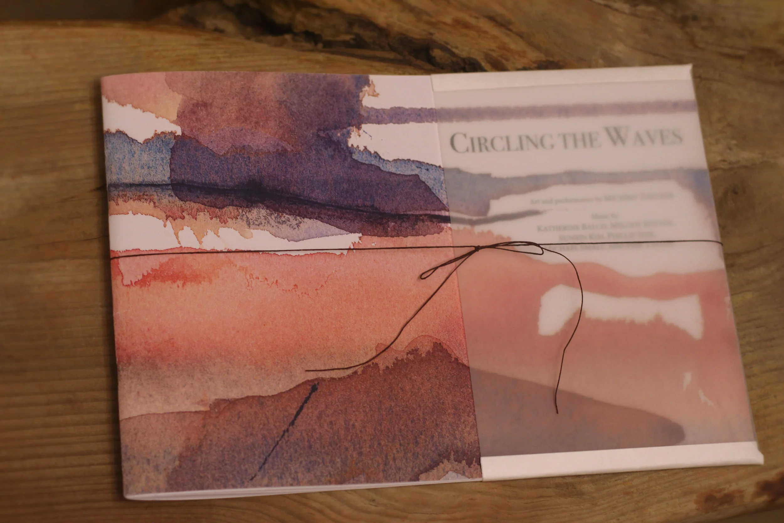 CtW book photo.jpg