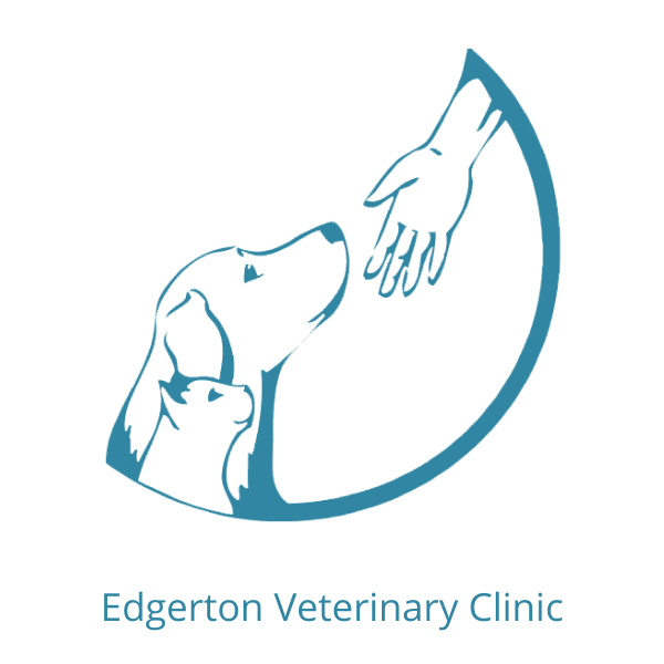 2022 Teal Sponsors — Friends of Noah