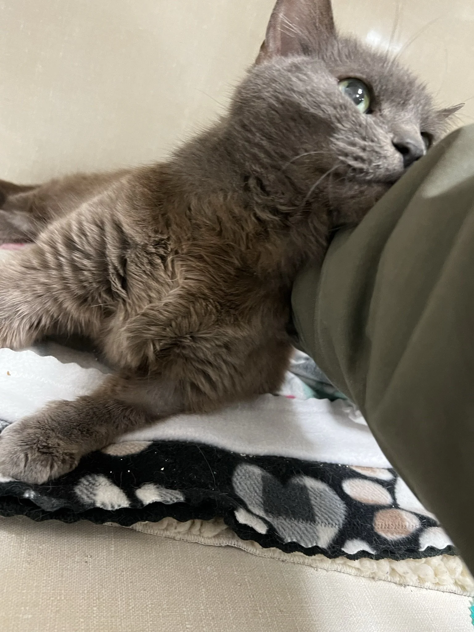 May Volunteer Meeting  