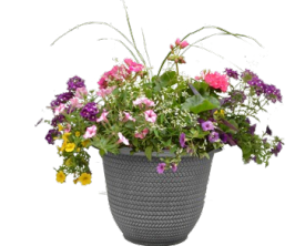 12 Combo Planter.png