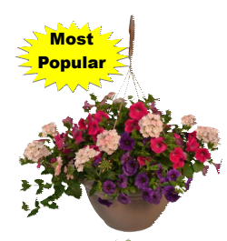 12 Combo Hanging Basket.png